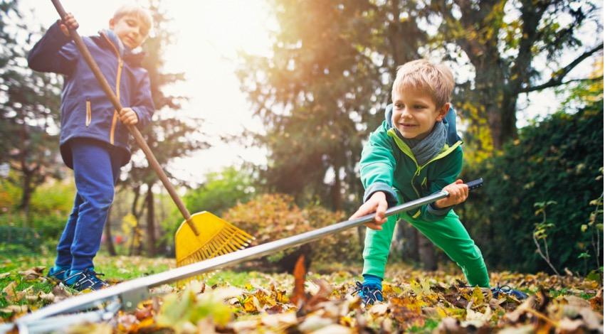 Fall Cleaning Checklist