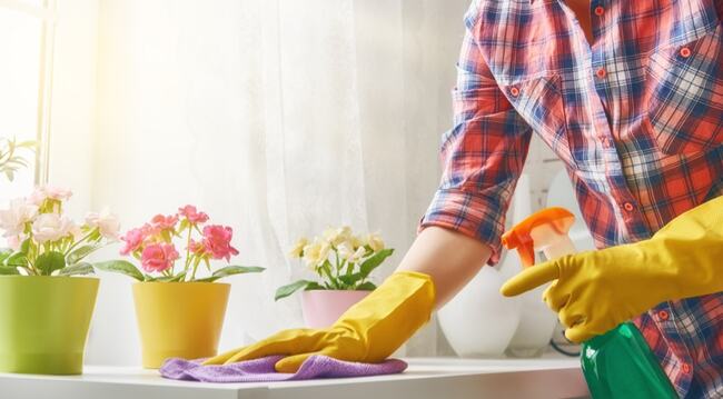 Recipes for Homemade Cleaners